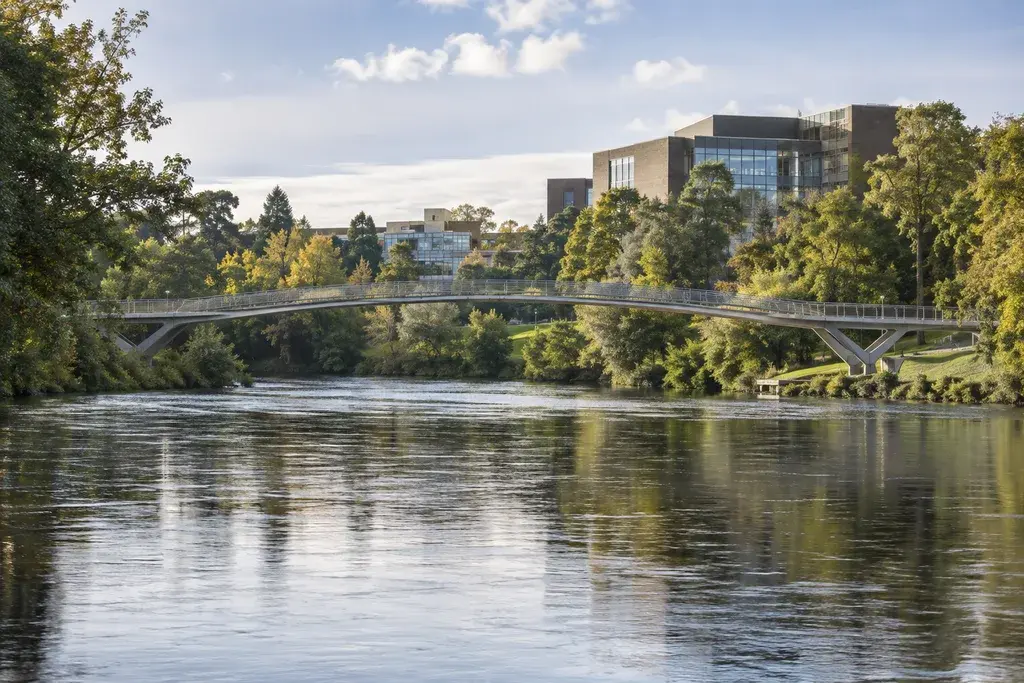University of Limerick